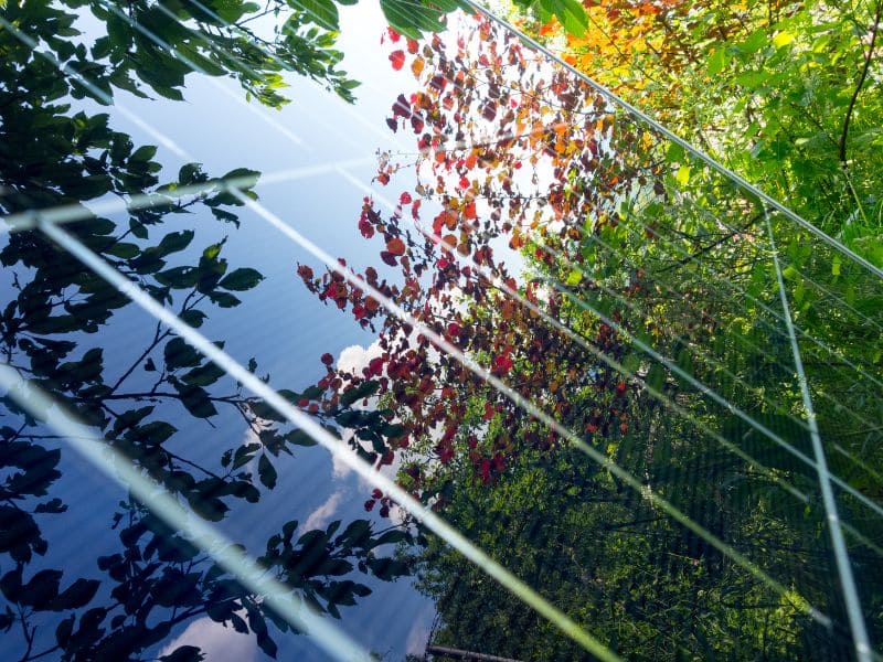 Crédit travaux : l’astuce pour placer des panneaux photovoltaïques sans vous ruiner